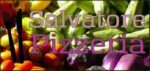 Logo Salvatore Pizzeria Bringdienst